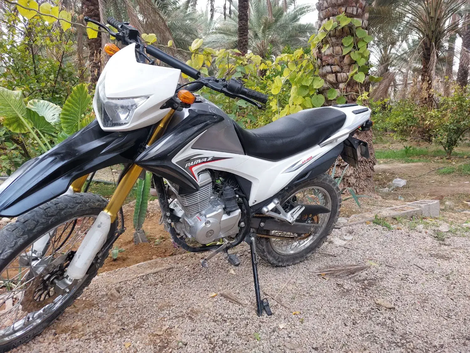 موتر تریل ۲۰۰پرواز|موتورسیکلت|جهرم, |دیوار