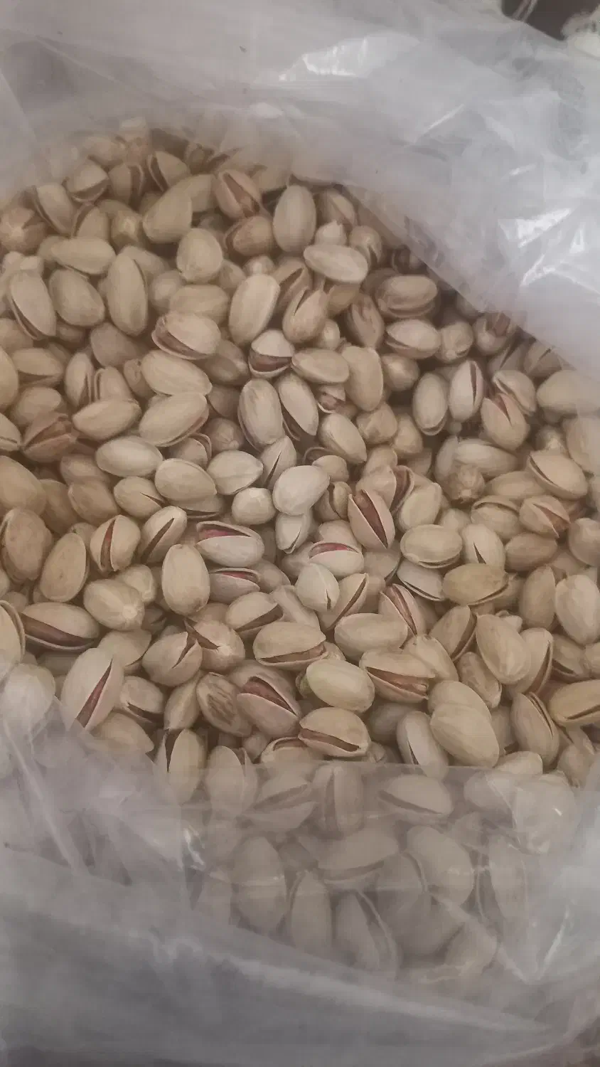 خوردنی|خوردنی و آشامیدنی|شیراز, جوادیه|دیوار