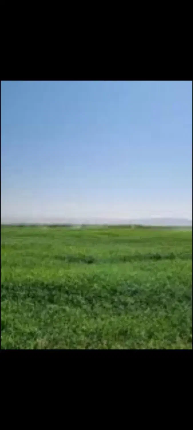 ۵ هکتار زمین کشاورزی همراه آب|اجارهٔ دفتر صنعتی، کشاورزی، تجاری|نورآباد ممسنی, |دیوار