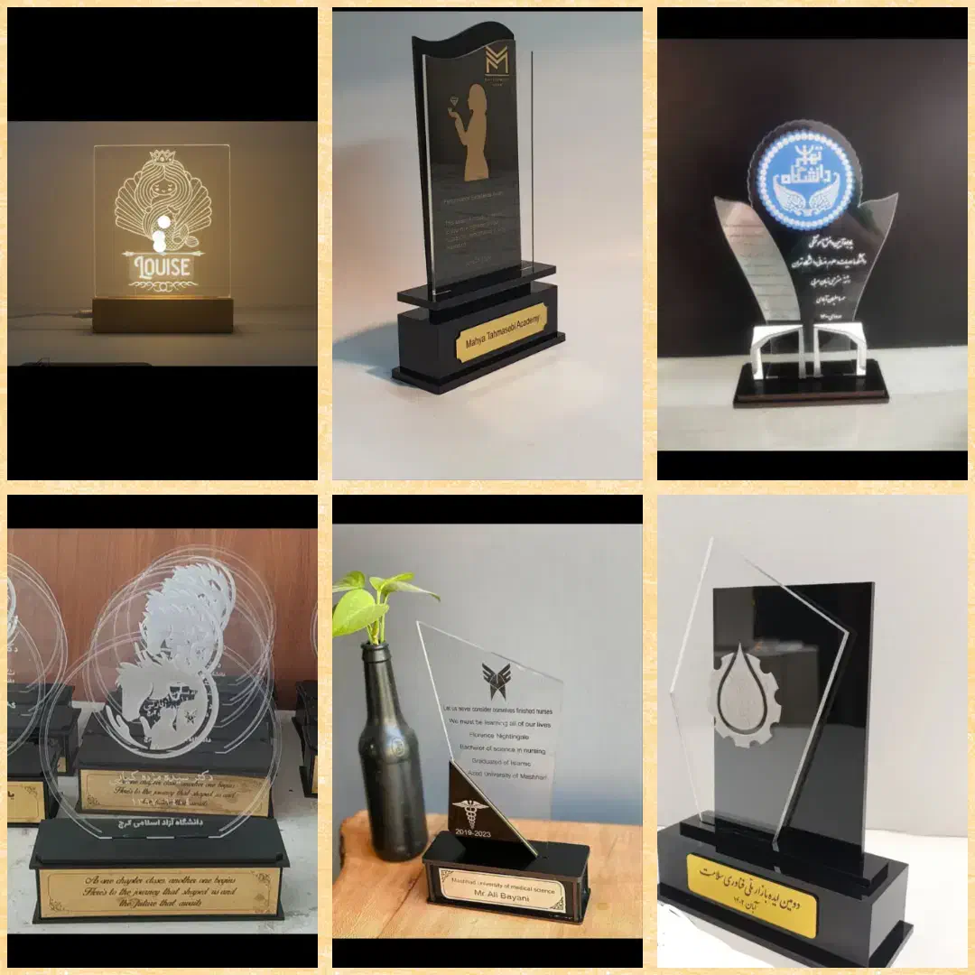 تندیس برتر پلکسی رسام|مجسمه، تندیس، ماکت|تهران, امام حسین|دیوار