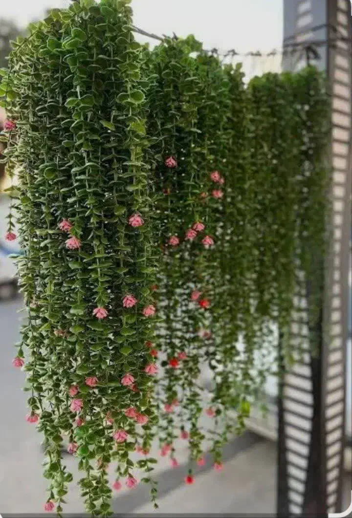 شمشاد|لوازم التحریر|مشهد, شهید آوینی|دیوار