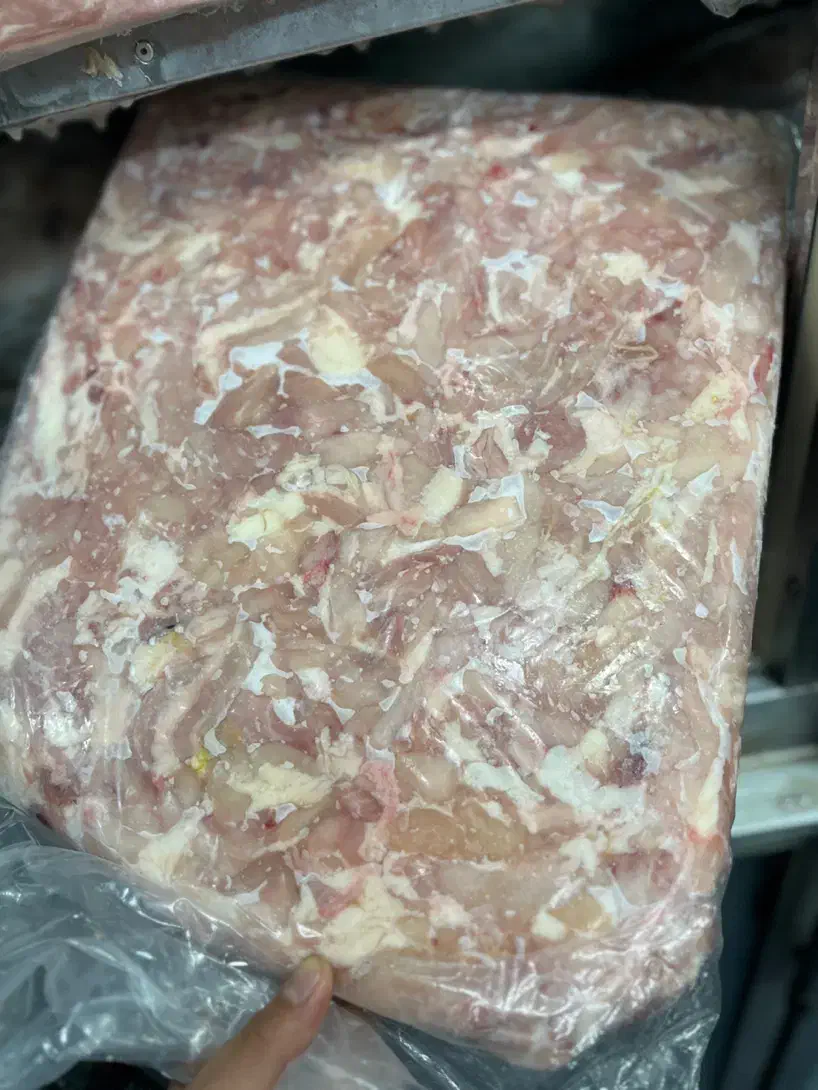 مرغ ماهی بوقلمون سینه فیله کتف بال بچه فیله|خوردنی و آشامیدنی|محمدشهر, همایون ویلا|دیوار