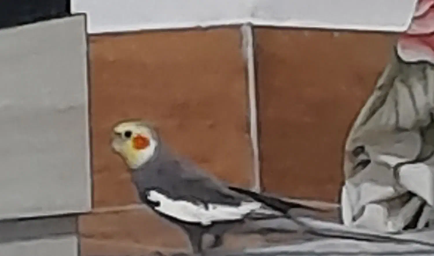 پرنده گم شده|پرنده|کردکوی, |دیوار