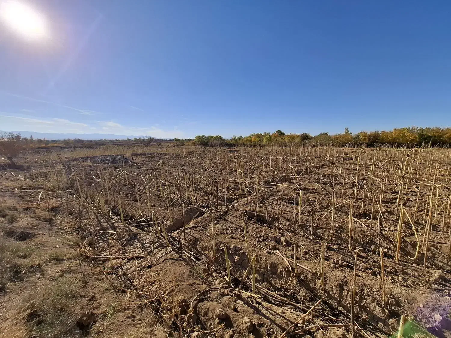 زمین زراعی تجاری|فروش زمین و ملک کلنگی|شال, |دیوار