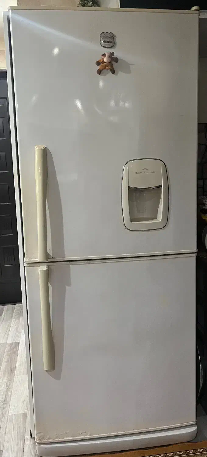 یخچال Nersi|یخچال و فریزر|رشت, کاکتوس|دیوار