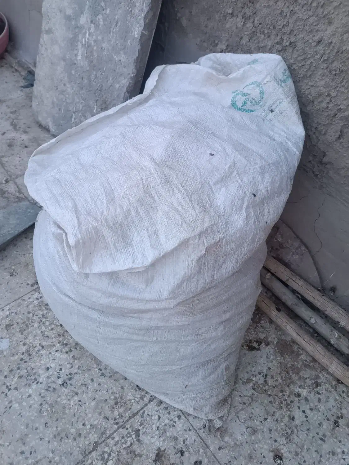 فضله وبارکبوتر|خدمات باغبانی و درختکاری|نیشابور, خط کاشمر|دیوار