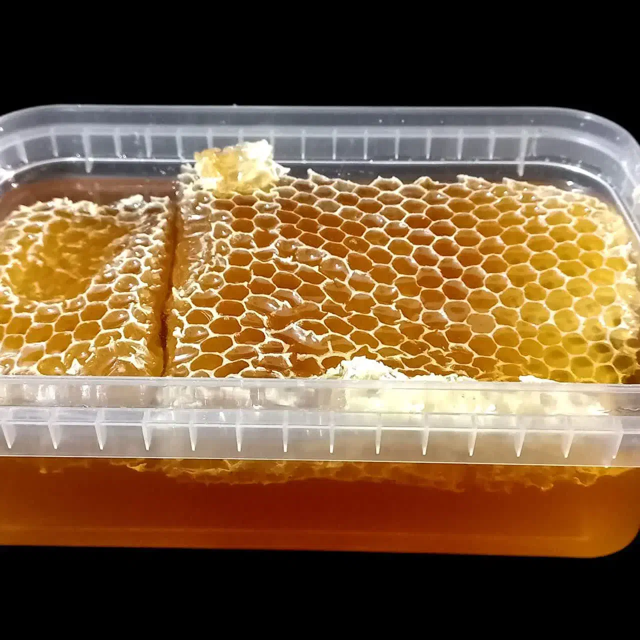 عسلطبیعیگونازپشتکوهیزد، خالصوخوشعطر|خوردنی و آشامیدنی|یزد, |دیوار