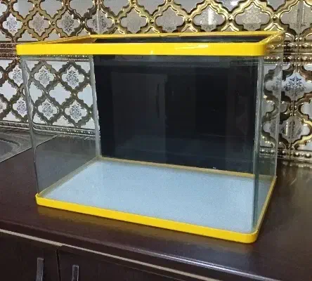 اکواریوم شیشه خم ۵۰سانت|ماهی|تبریز, |دیوار