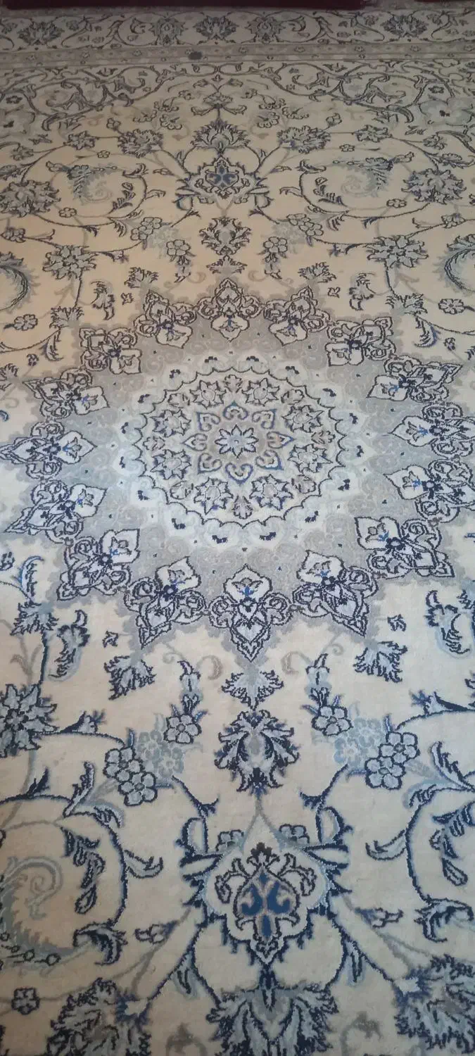 فرش دستباف|فرش|زاهدان, |دیوار