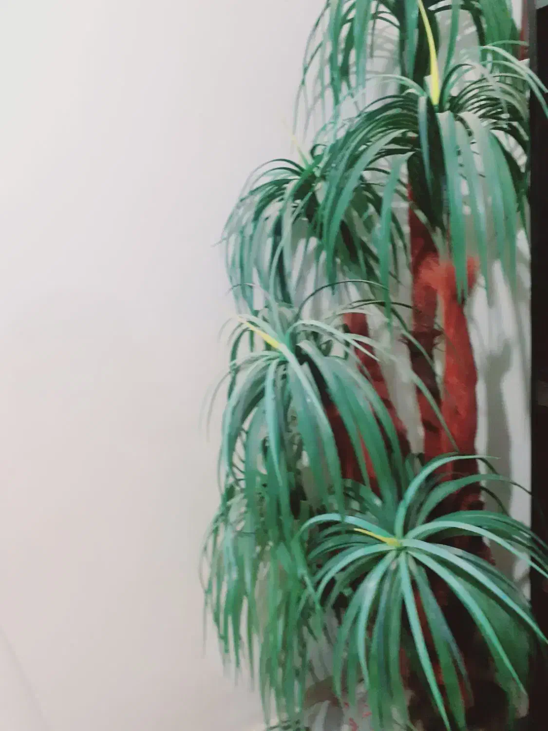 درخچه درحد نو|گل مصنوعی|زابل, |دیوار