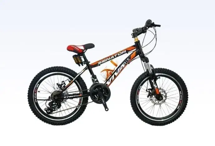 دوچرخه۲۰ زارا قسطی|دوچرخه، اسکیت، اسکوتر|مشهد, رستگار|دیوار