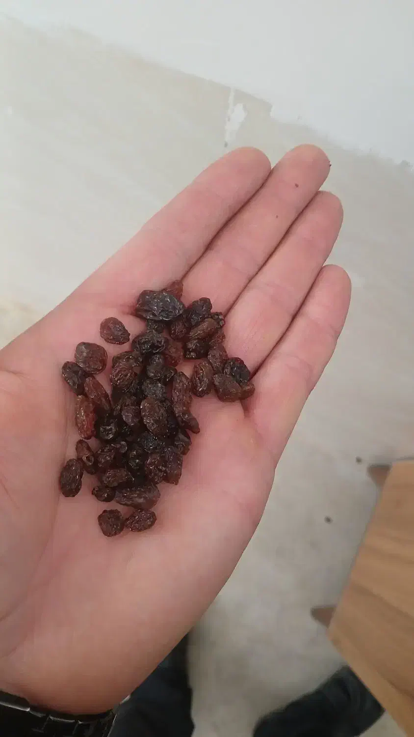 کشمش|خوردنی و آشامیدنی|ری, شهادت|دیوار