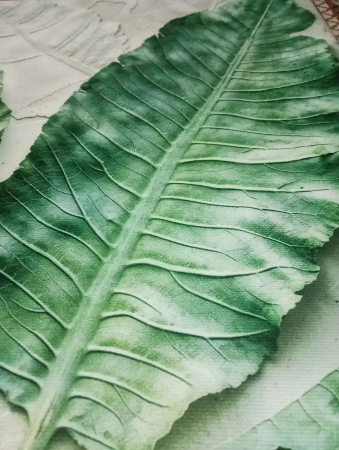 تابلو بوم پروانه|تابلو، نقاشی، عکس|مشهد, رسالت|دیوار