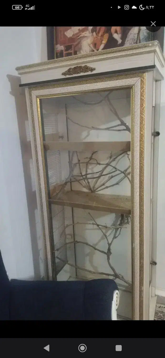 قفس عروس هلندی فنچ مرغ عشق کوتوله برزیلی|لوازم جانبی حیوانات|مشهد, شهید شهریاری|دیوار