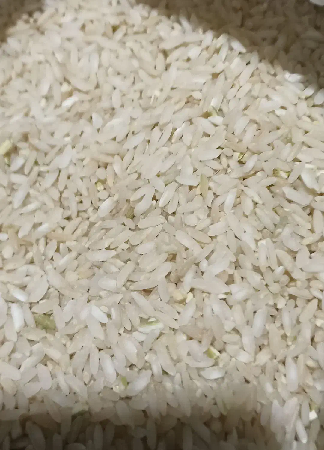 برنج چمپا|خوردنی و آشامیدنی|یاسوج, |دیوار