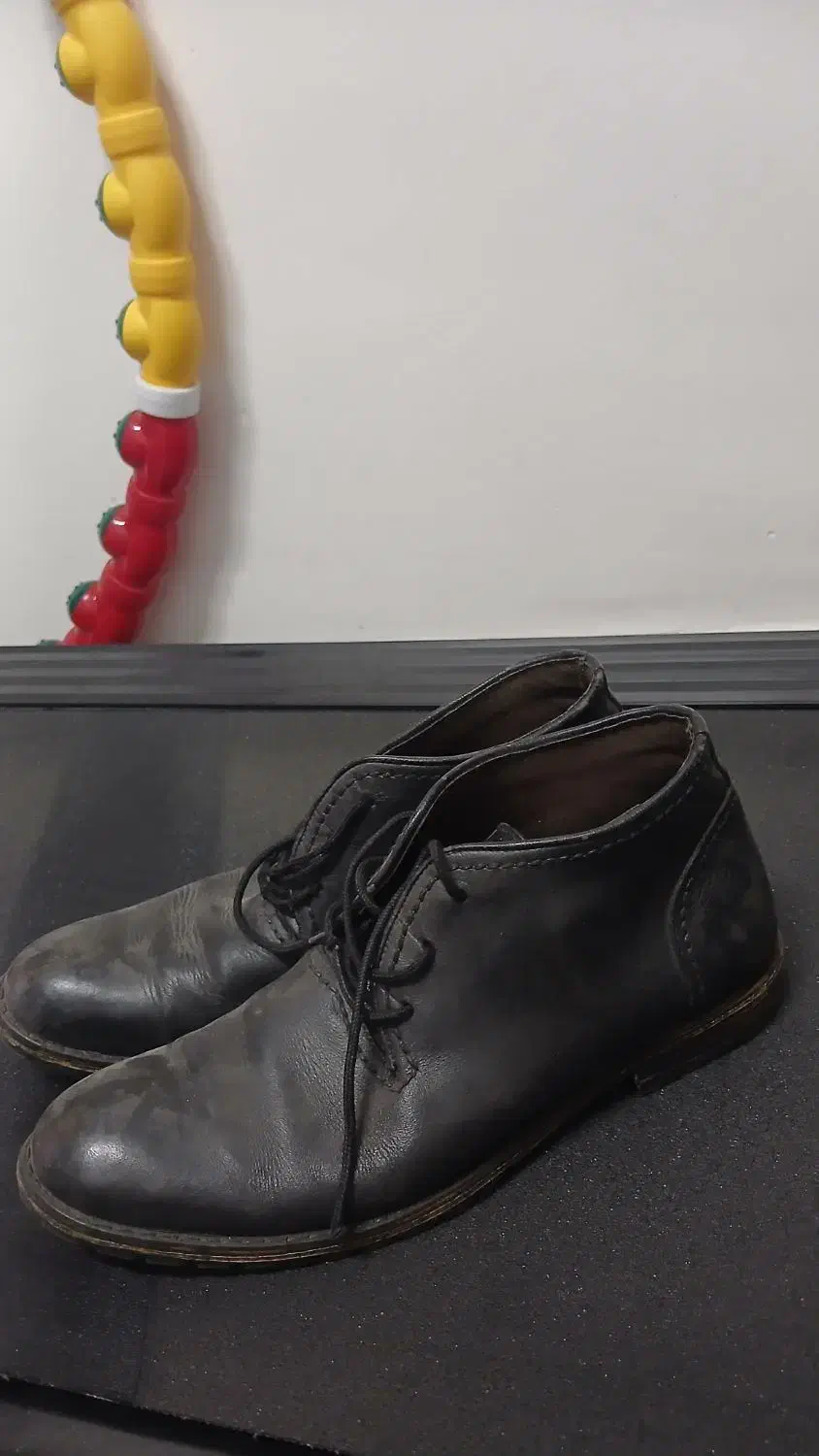 کفش|کیف، کفش، کمربند|فردوس (خراسان), |دیوار