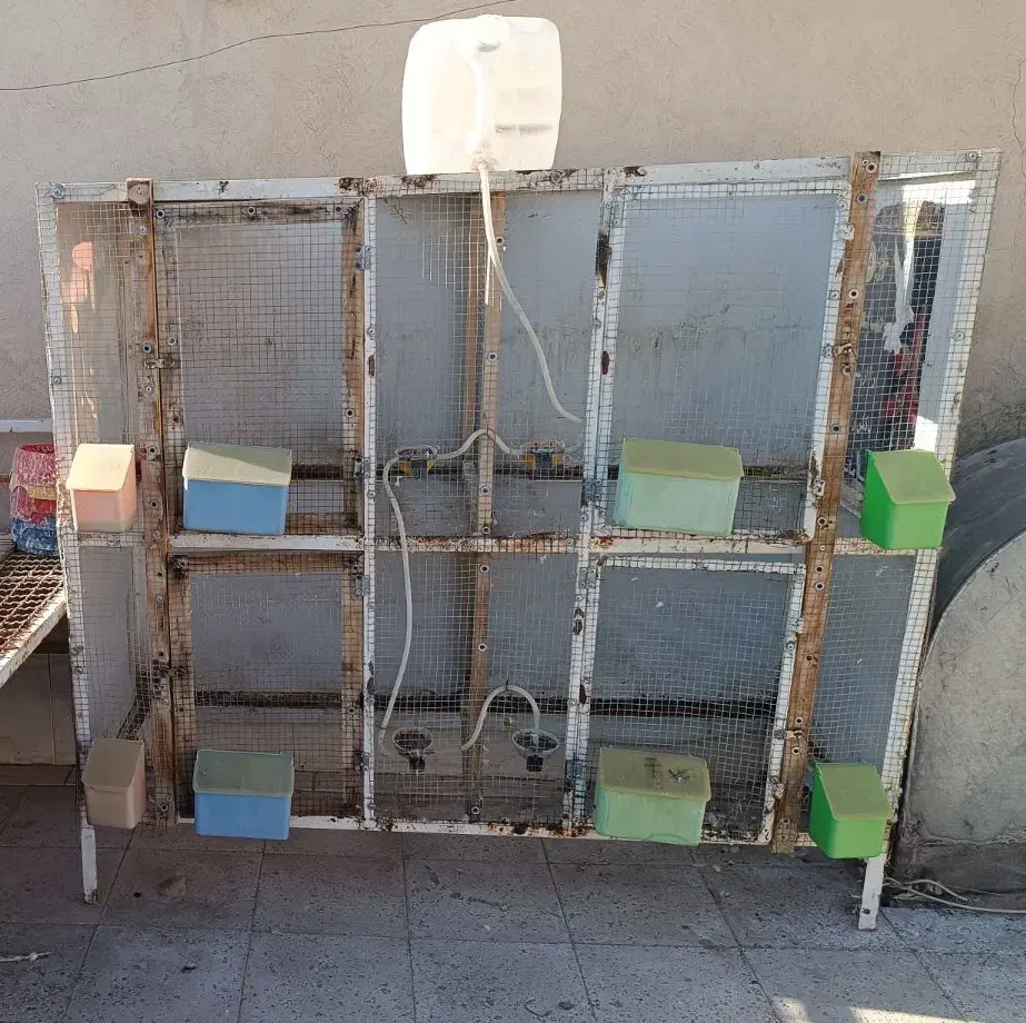 قفس|لوازم جانبی حیوانات|گناباد, |دیوار