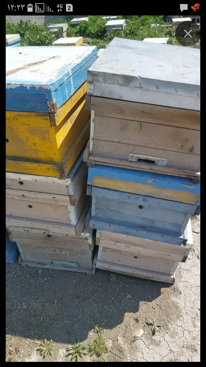 کندو عسل دست دوم تمیز|لوازم جانبی حیوانات|دهدشت, |دیوار