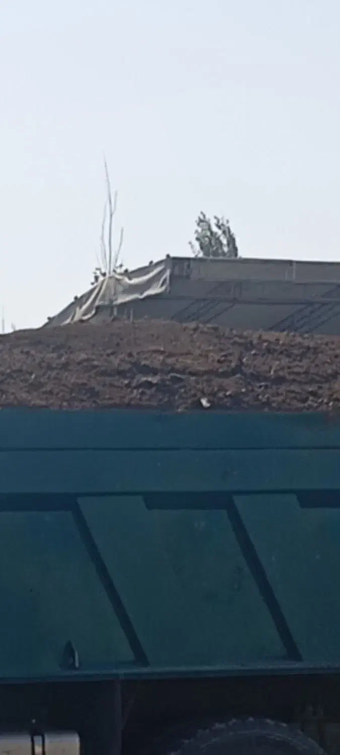 فروش انواع کود حیوانی|خدمات باغبانی و درختکاری|تهران, خاک سفید|دیوار