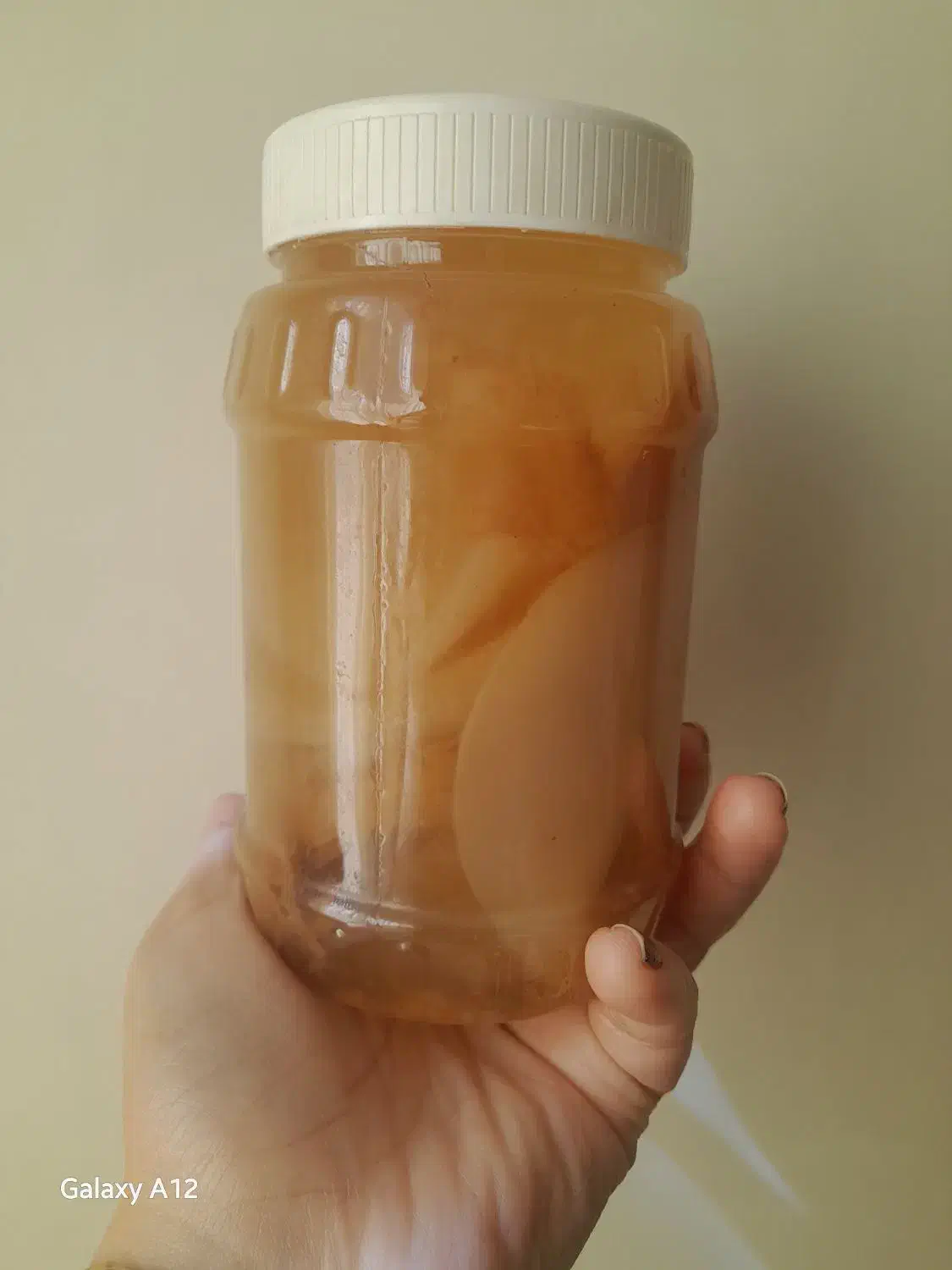 نوشیدنی و قارچ کامبوجا لاغری و چربی سوز|آرایشی، بهداشتی، درمانی|مشهد, فاطمیه|دیوار