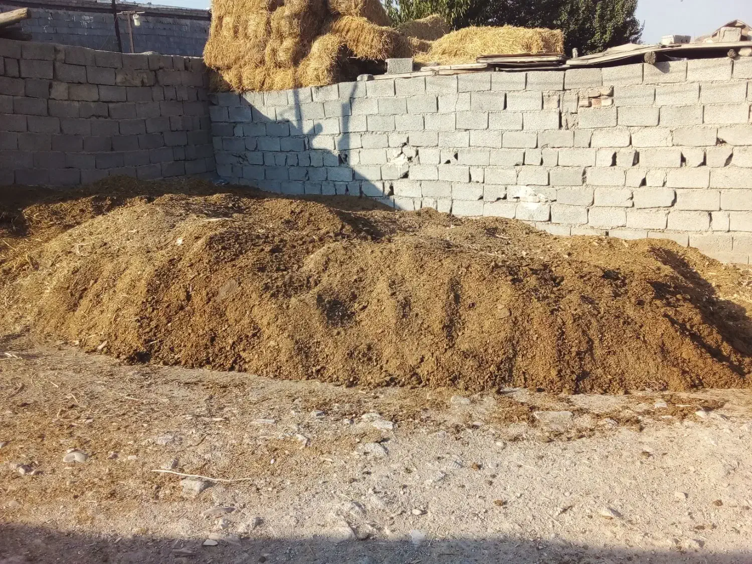 کود حیوانی|خدمات باغبانی و درختکاری|وحیدیه, |دیوار