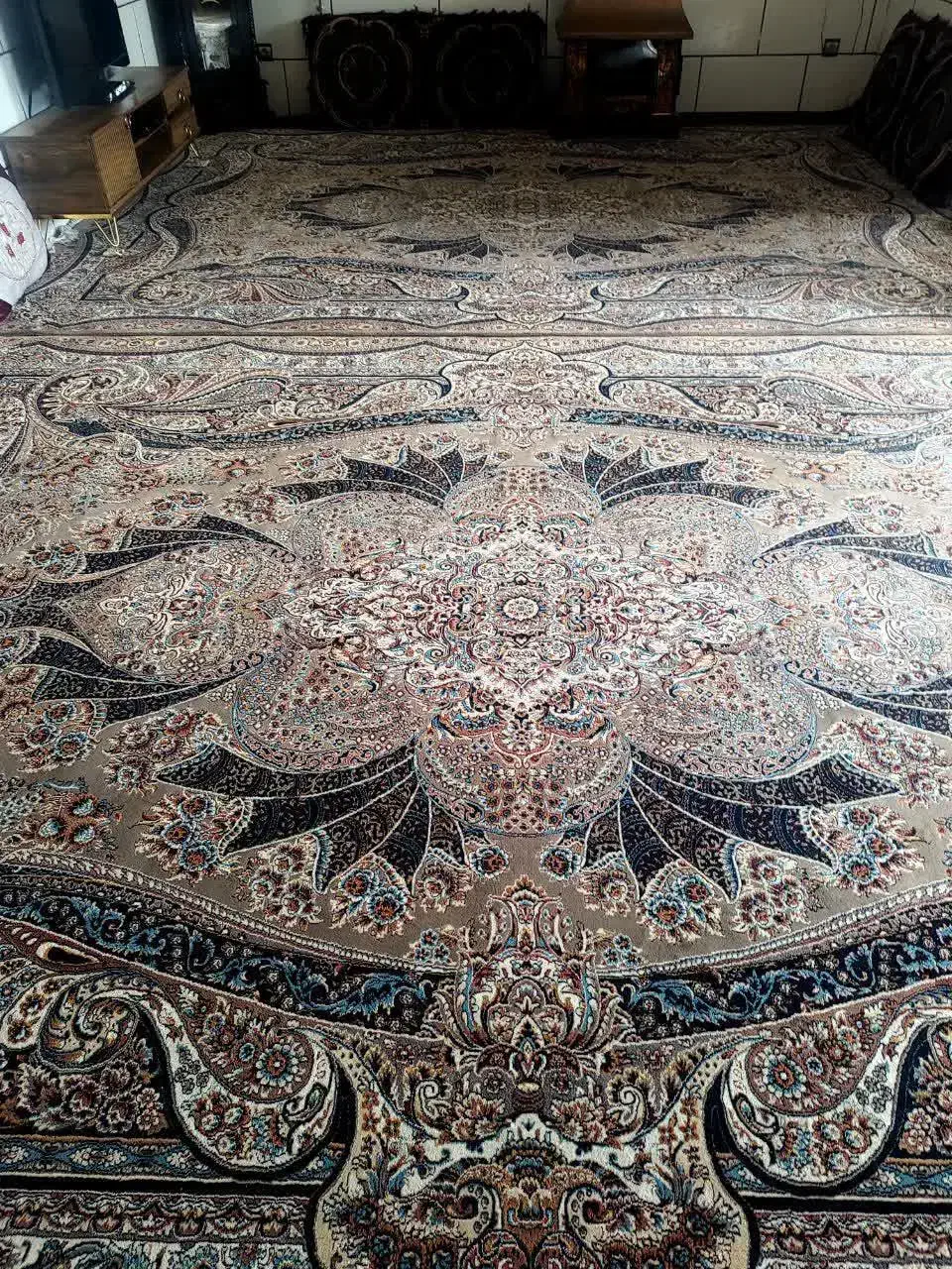 فرش ۱۲متری جفت|فرش|شاهرود, |دیوار