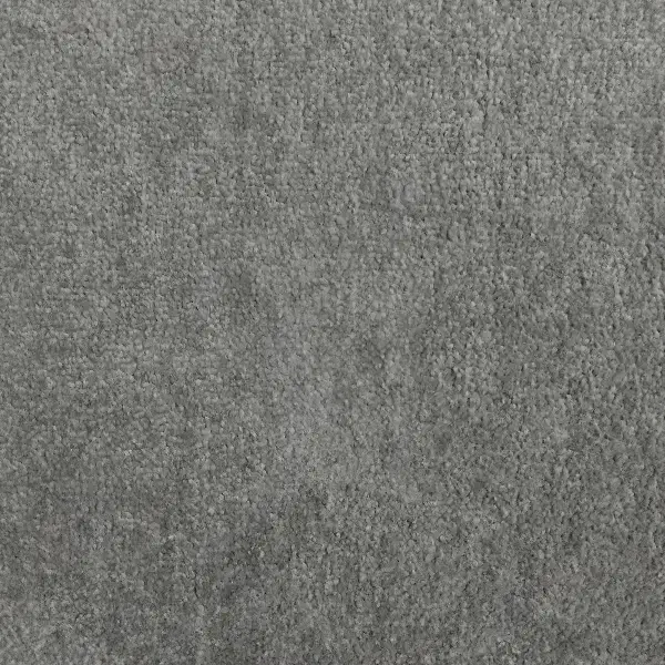 پالاز مکت|موکت|ایلام, |دیوار