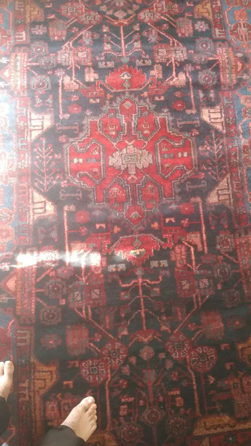 فروش‌فرش|فرش|کوهدشت, |دیوار