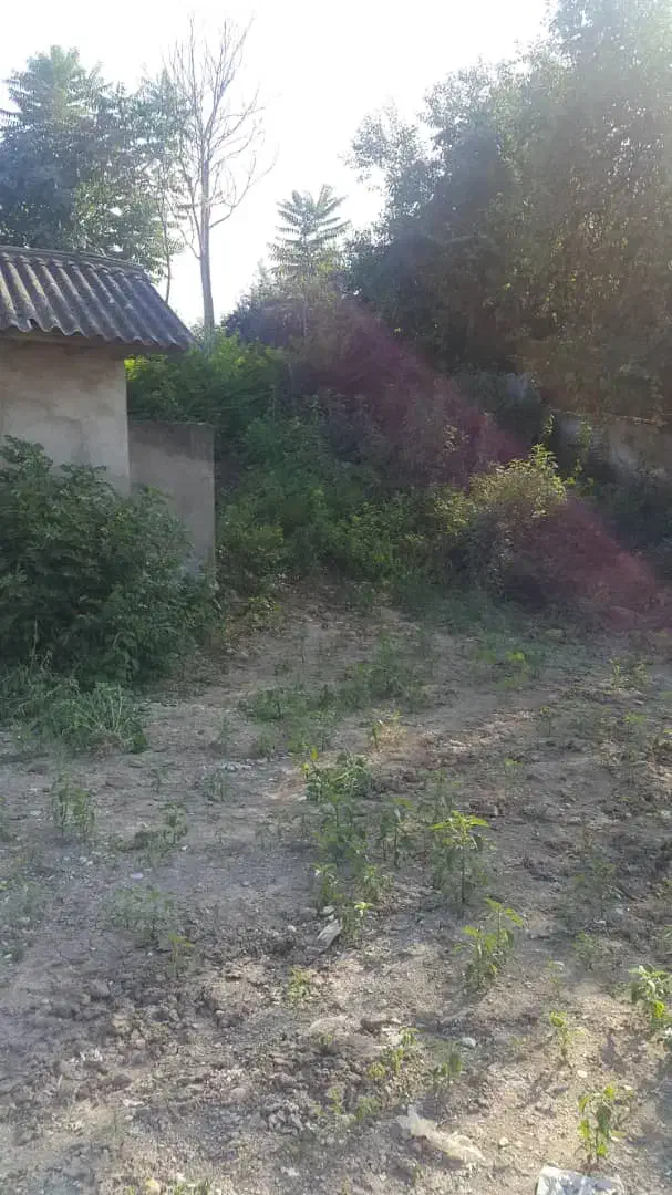 760متر شهرک یثرب با انشعابات قائمشهرتلوک لهرم|فروش زمین و ملک کلنگی|ارطه, |دیوار