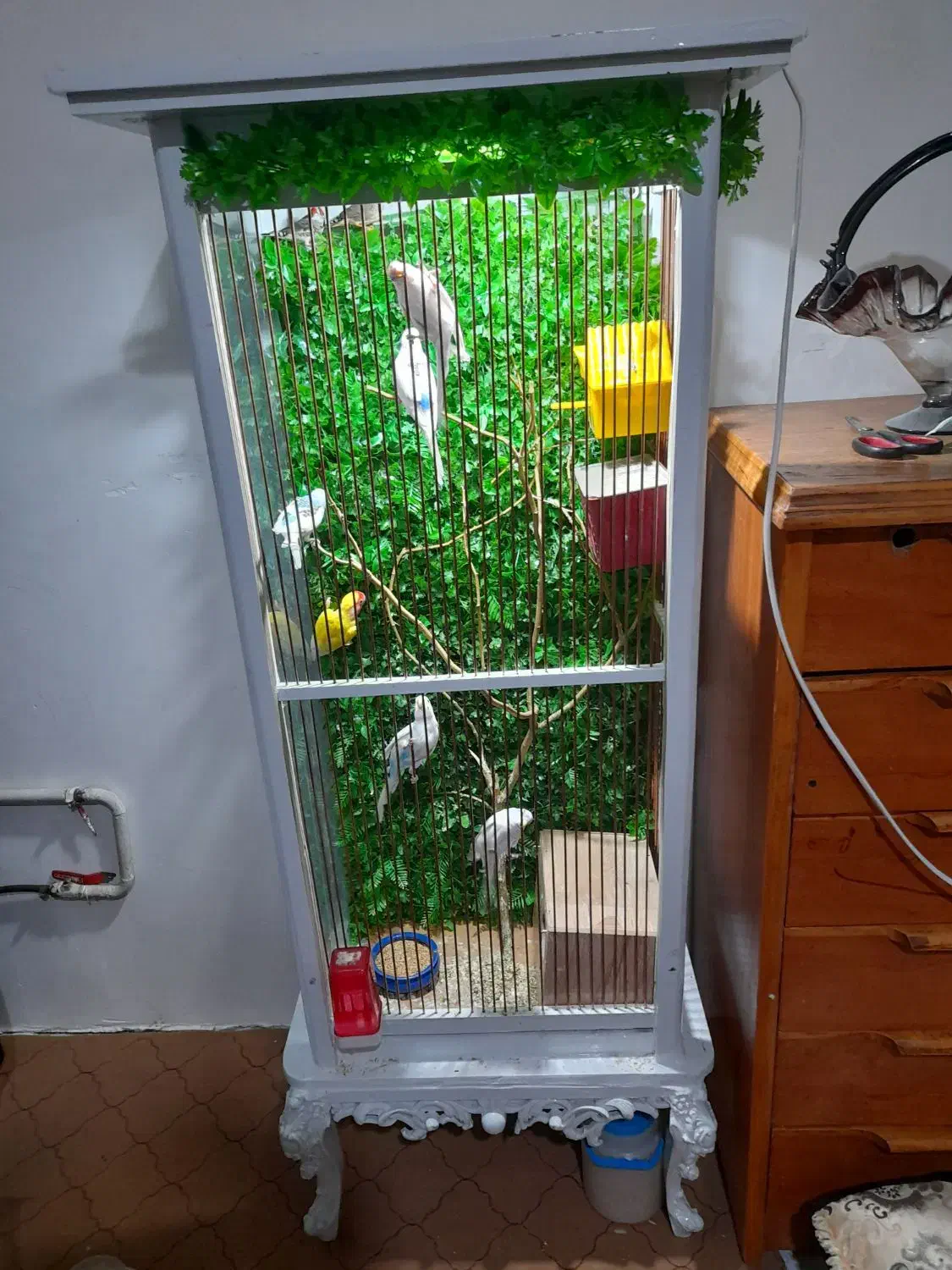 قفس پرنده ۵۵۰۰|پرنده|الوند, |دیوار