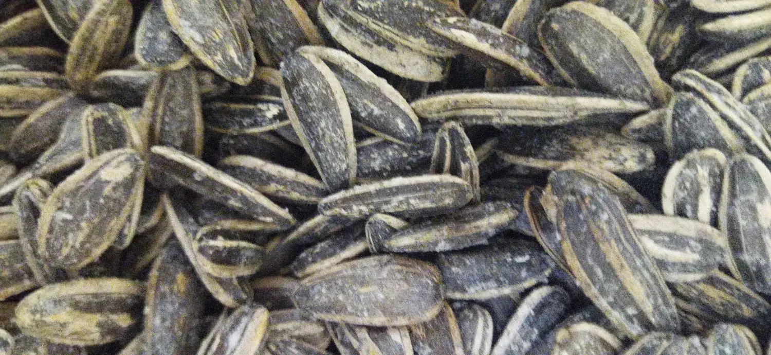 تخمه|خوردنی و آشامیدنی|ارومیه, |دیوار