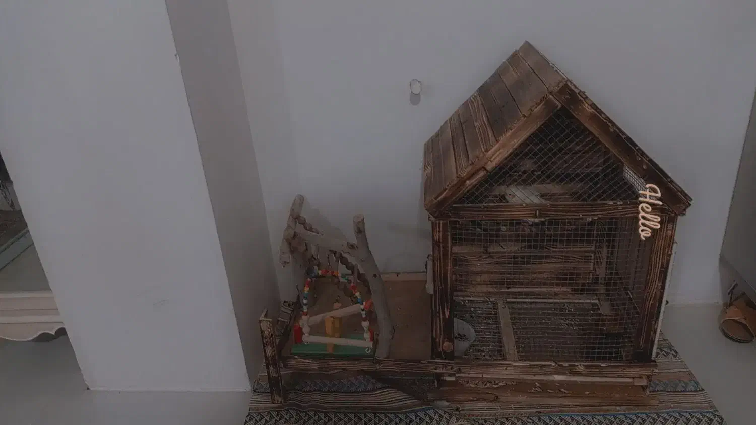 پرندم فروختم کلبه میفروشم|لوازم جانبی حیوانات|پاکدشت, پاکدشت (مامازند)|دیوار