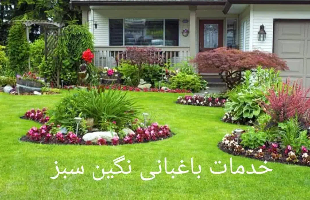 باغبانی تخصصی فضا سبز وطراحی واجرا|خدمات باغبانی و درختکاری|رشت, رودباری|دیوار