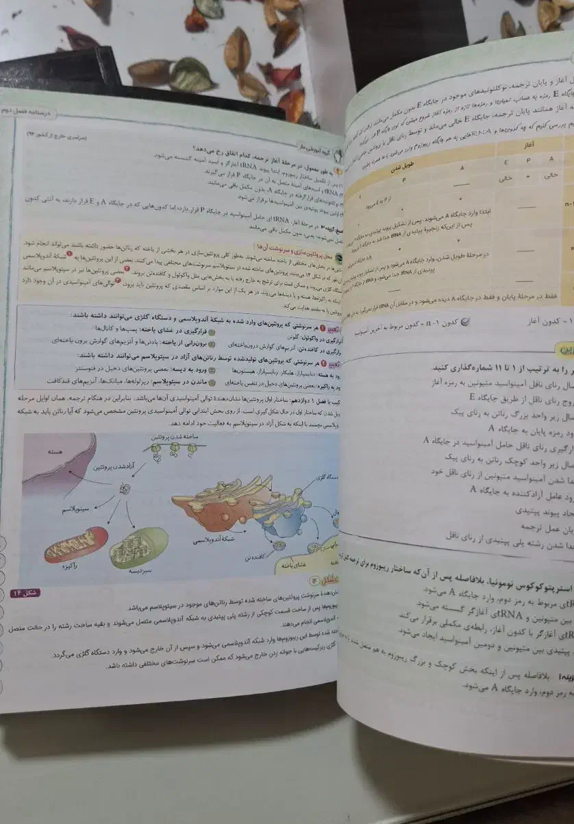 جزوه های طلایی زیست شناسی ماز|کتاب و مجله آموزشی|لاهیجان, کوی خزر|دیوار