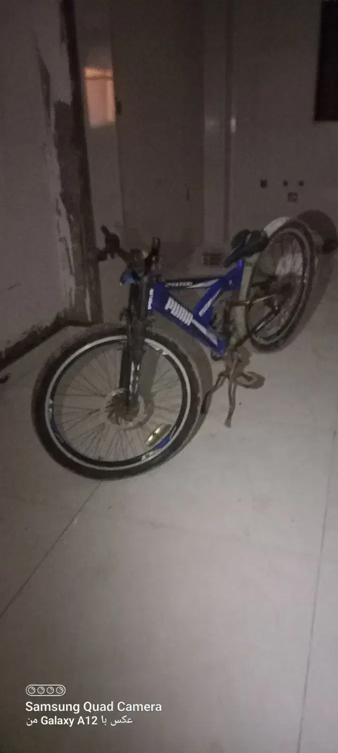سه عدد دوچرخه دوتا ۲۶ یک عدد سایز ۲۴|دوچرخه، اسکیت، اسکوتر|اسالم, |دیوار