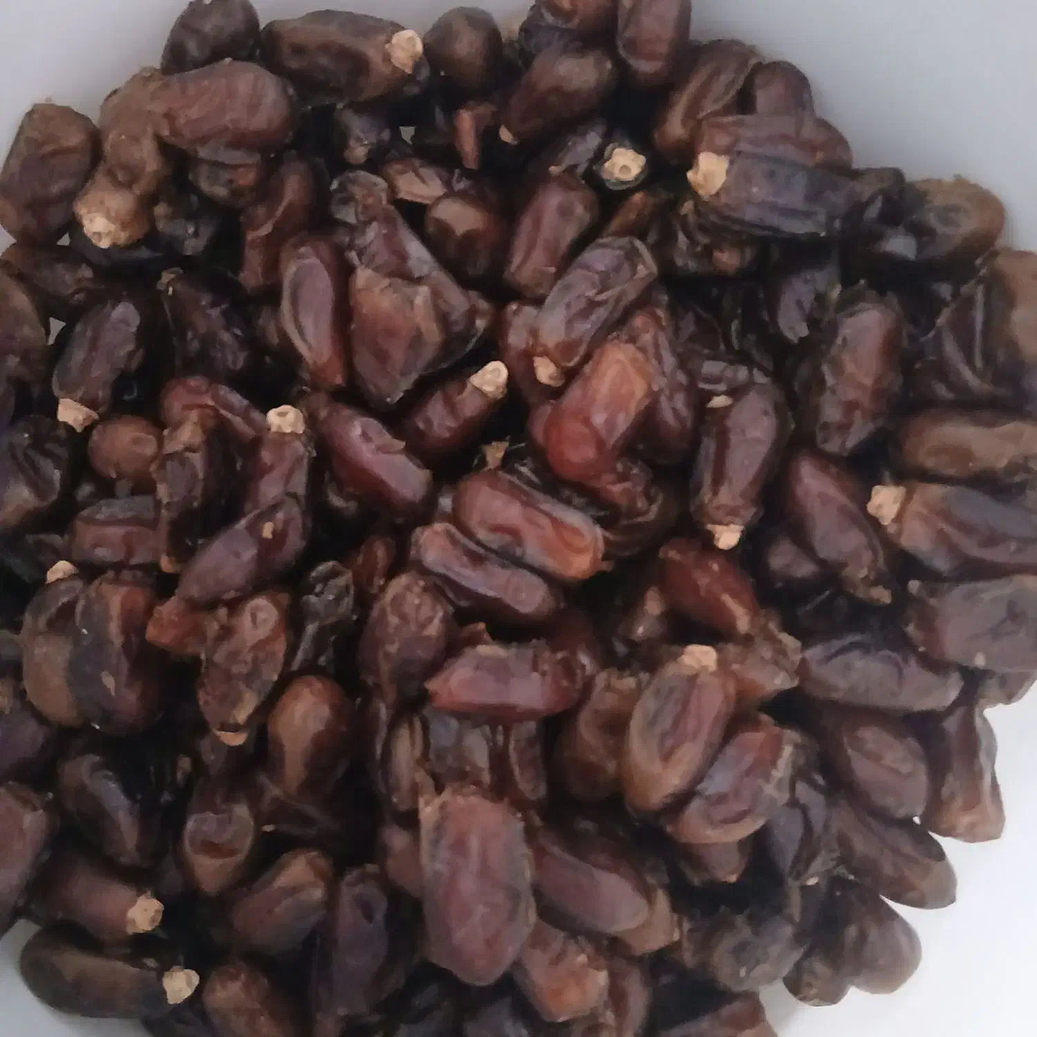 خرما|خوردنی و آشامیدنی|اهواز, دغاغله|دیوار