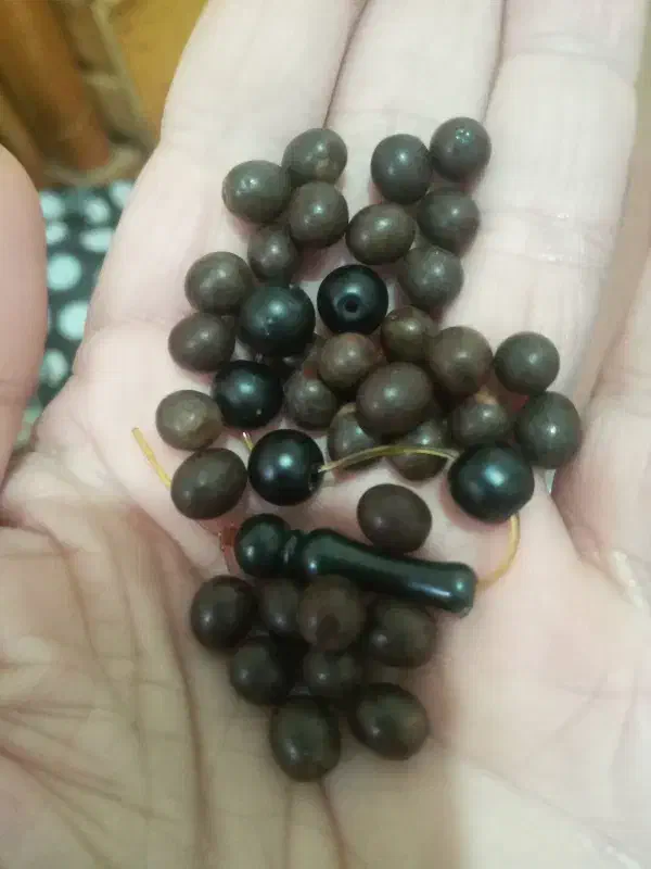 دانه تسبیح یسر نو سالم|کلکسیون اشیاء عتیقه|رشت, شهرک شهید مفتح|دیوار