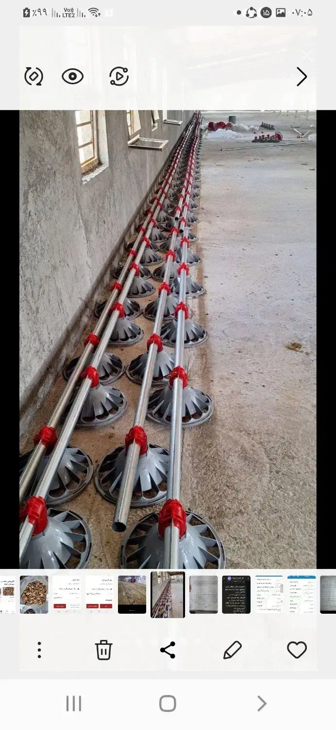 مرغداری گوشتی مشگین شهراجاره داده میشود|اجارهٔ دفتر صنعتی، کشاورزی، تجاری|مشگین شهر, |دیوار