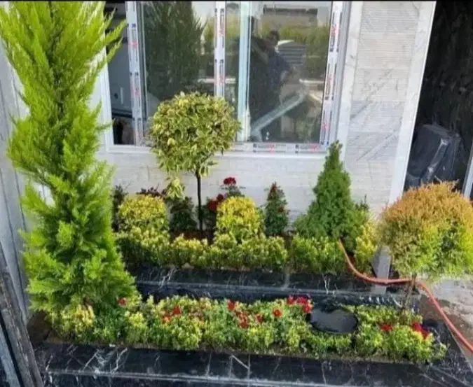 خدمات کلیه باغبانی باغچه کاری هرسکاری گلکاری کاشت|خدمات باغبانی و درختکاری|کرج, عظیمیه|دیوار