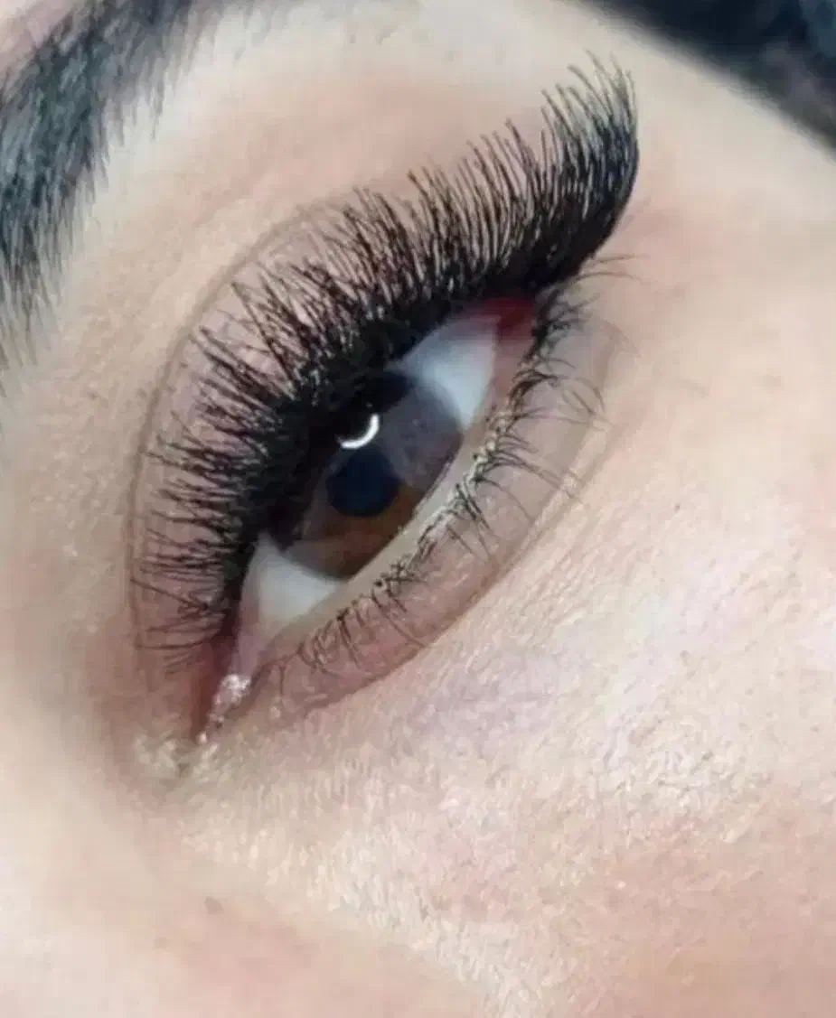 مدل کاشت مژه ۲۲۰|خدمات آرایشگری و زیبایی|فلاورجان, |دیوار