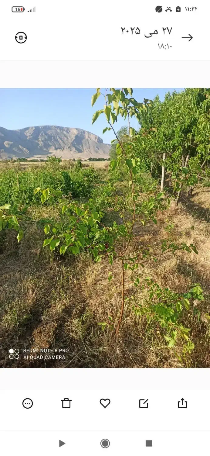 باغ نجوبران|فروش دفتر صنعتی، کشاورزی، تجاری|بیستون, |دیوار