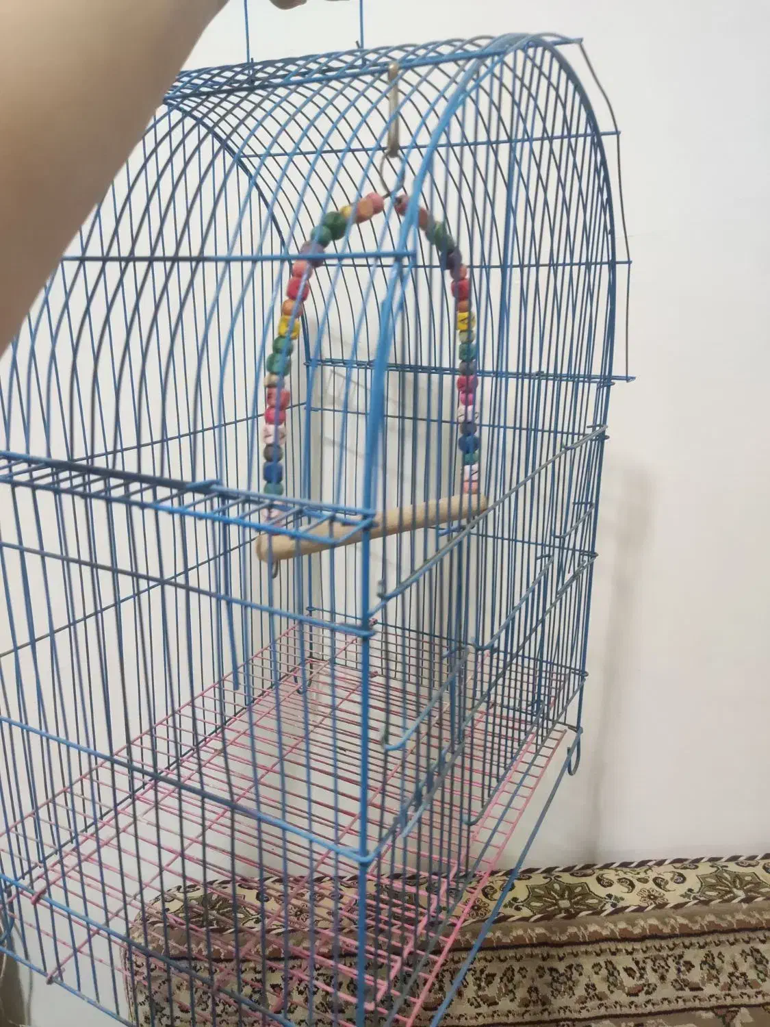 قفس بزرگ طوطی|لوازم جانبی حیوانات|سنندج, |دیوار