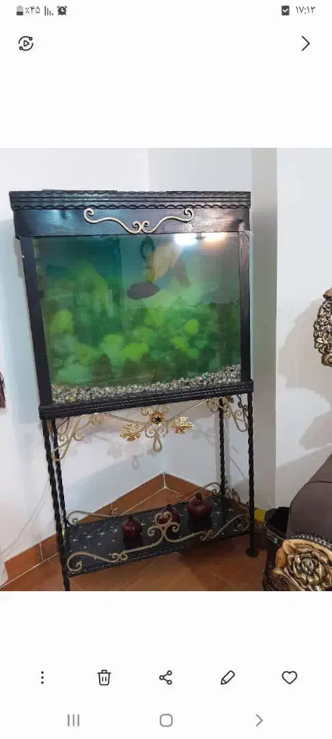 آکواریوم پایه دار|ماهی|املش, |دیوار