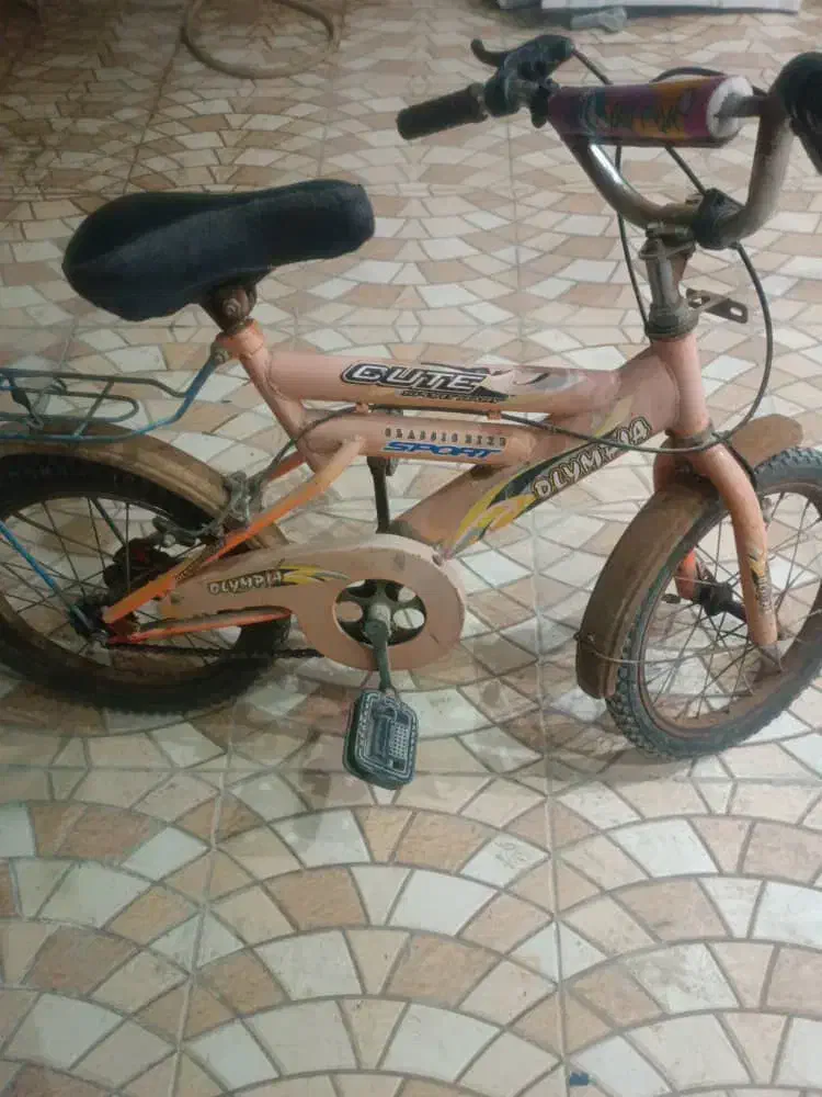 دوچرخه ۱۶|دوچرخه، اسکیت، اسکوتر|باوی, |دیوار