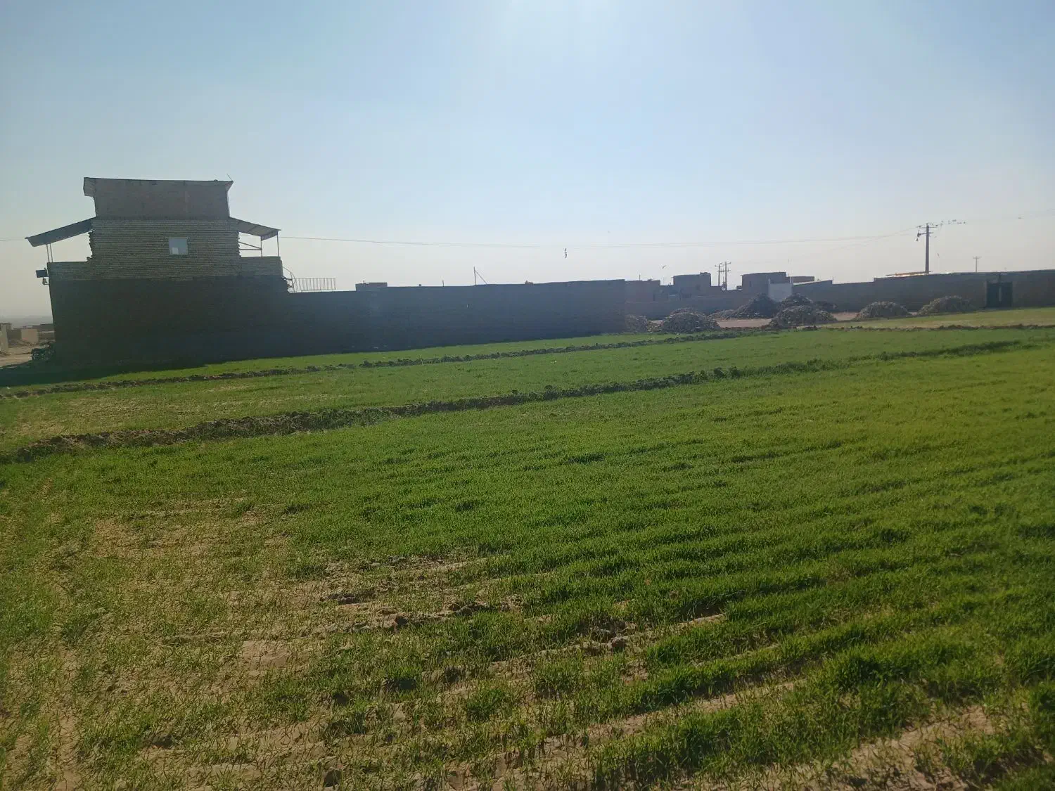 زمین مناسب جهت دامداری|فروش دفتر صنعتی، کشاورزی، تجاری|سبزوار, قصبه شرقی|دیوار