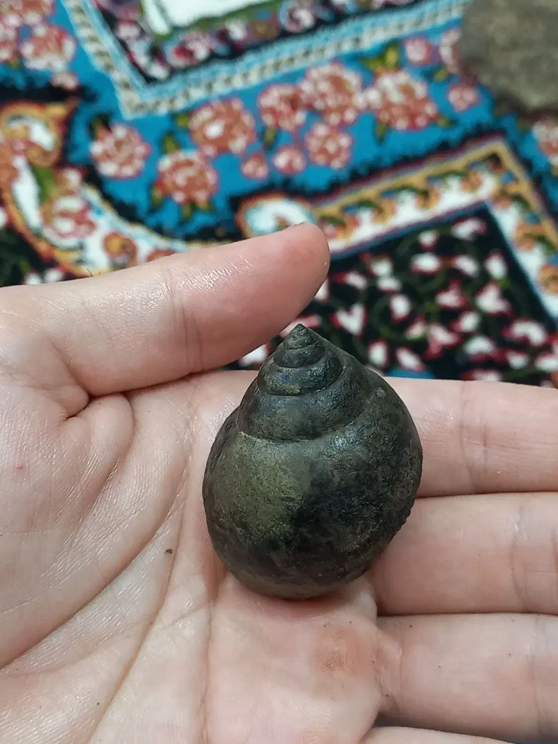 تعدای فسیل کلکسیونی|جواهرات|خرمآباد, |دیوار