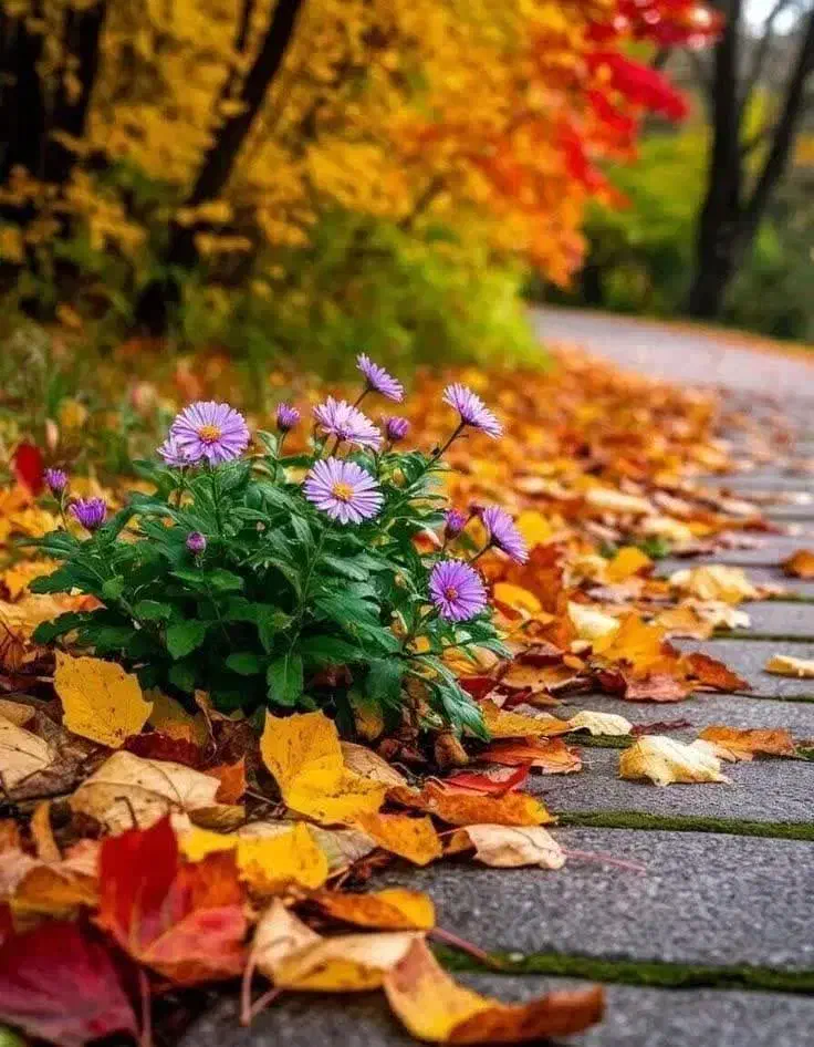 راهنمای|فعالیت داوطلبانه تحقیقاتی|زنجان, |دیوار