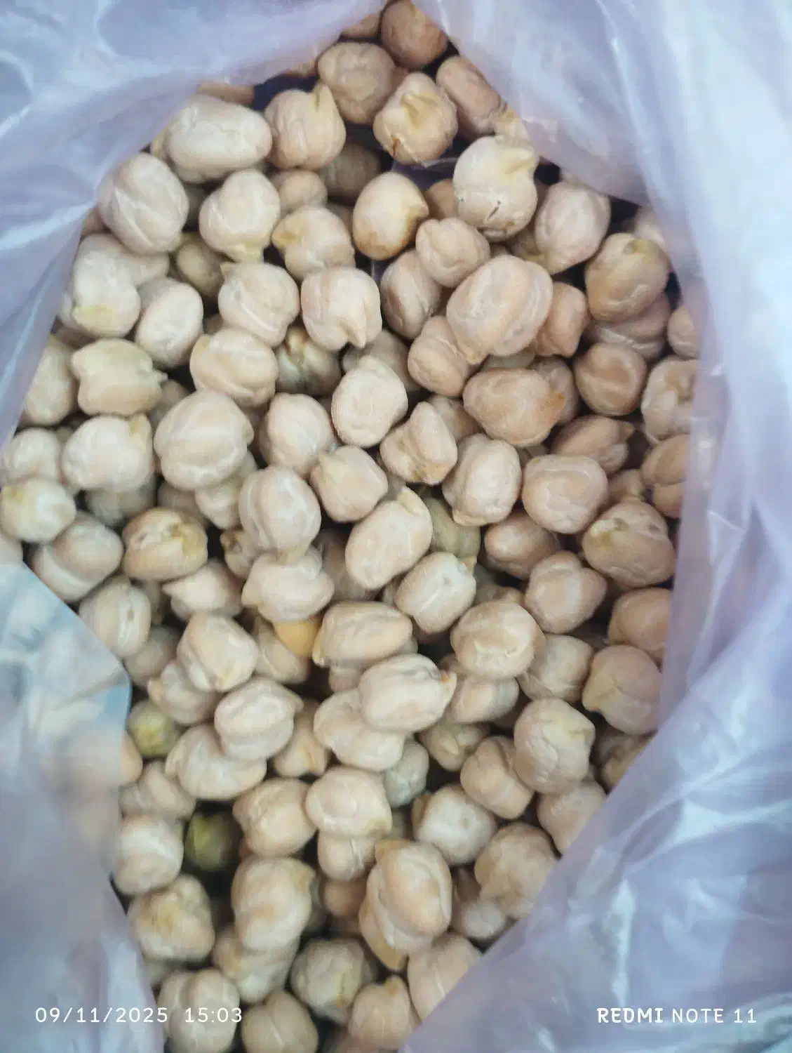 نخود|خوردنی و آشامیدنی|باوله, |دیوار