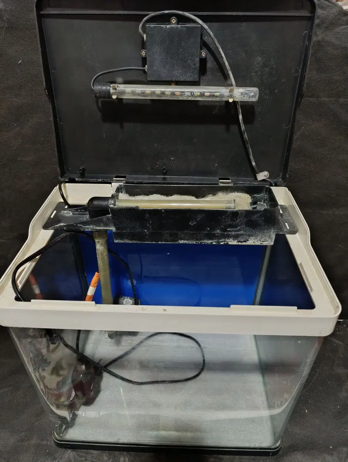 آکواریوم شرکتی شیشه خم|ماهی|اردبیل, |دیوار