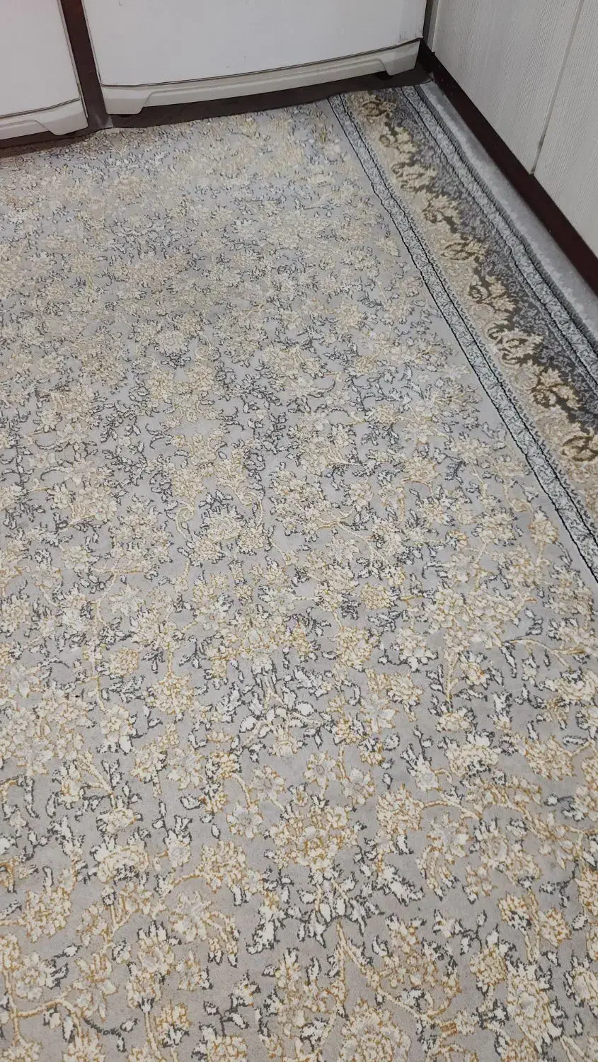 فرش|فرش|قزوین, |دیوار